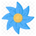 Beautiful Flower  Icon