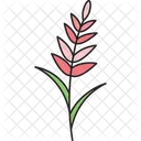 Beautiful Flower  Icon