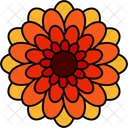 Beautiful  Icon