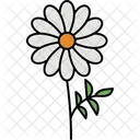 Beautiful  Icon