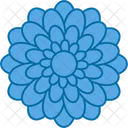 Beautiful  Icon