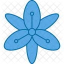 Beautiful  Icon