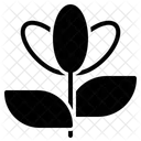 Beautiful Ecology Flower Icon