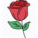 Beautiful Rose  Icon