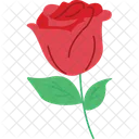 Beautiful Rose  Icon