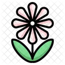 Beauty Flora Botanical Icon