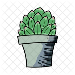 Beauty Cactus  Icon