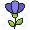 Beauty Flower Flower Nature Icon