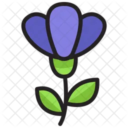 Beauty flower  Icon