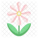 Beauty Flora Botanical Icon