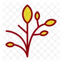 Beauty Holistic Natural Icon