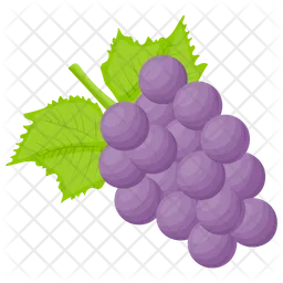 Beautyberry  Icon