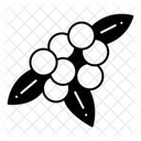  Icône