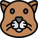 Beaver  Icon