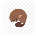 Beaver Sleeping Snuggle Down Icon