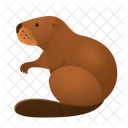 Beaver Animal Wildlife Icon