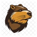 Beaver Icon