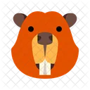 Beaver  Icon