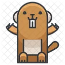 Beaver  Icon