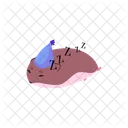 Hamster Personnage Conception Icon