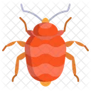 Bed Bug  Icon