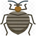 Bedbug Animals Insects Icon