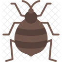 Bedbug  Icon