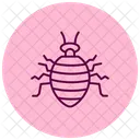 Bedbug Insect Pest Icon