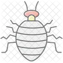 Bedbug Insect Pest Icon