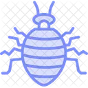 Bedbug Insect Pest Icon