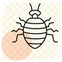 Bedbug  Icon