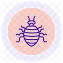 Bedbug Insect Pest Icon