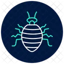 Bedbug Insect Pest Icon