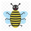 Insect Nature Bee Icon