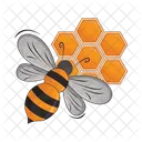 Insect Bee Honey Icon