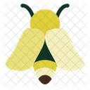 Bee Insect Honey Icon