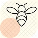 Bee  Icon