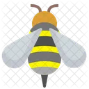 蜂、ミツバチ、ハチミツ アイコン