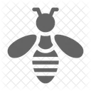 Bee Fly Honey Icon