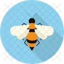 Bee Insects Flying Icon