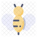 Bee Bug Insect Icon
