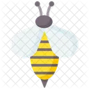 Bee  Icon