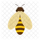 Bee Animal Wildlife Icon
