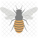 Bug Fly Bee Icon