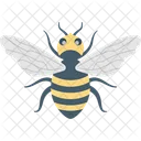 Bee Bug Fly Icon