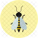 Bee Honey Insect アイコン