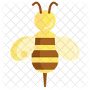 Bee Bug Season Icon