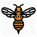 Bee Fly Animals Icon