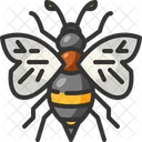Bee Zoology Entomology Icon