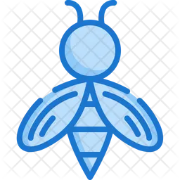 Bee  Icon